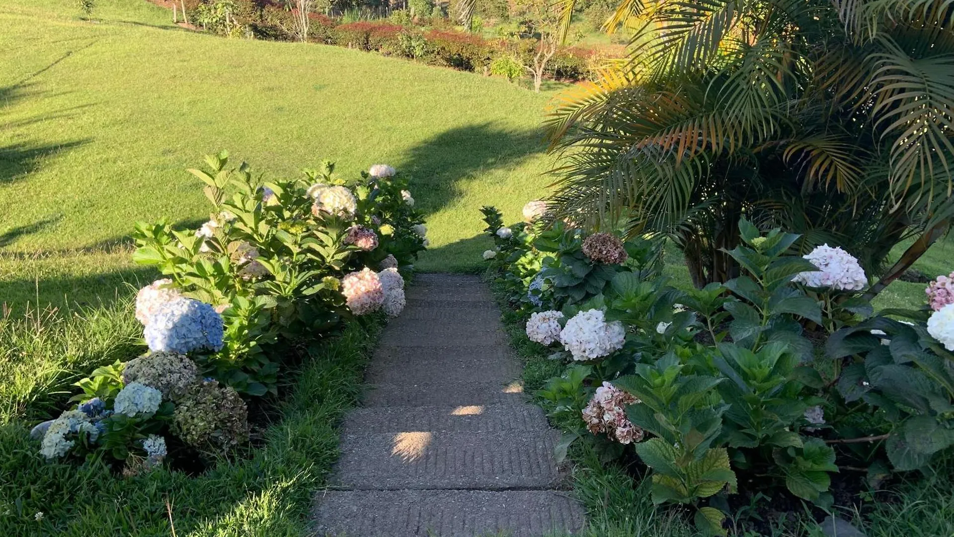 Finca Villa Palmeras 36 Rionegro Colombia