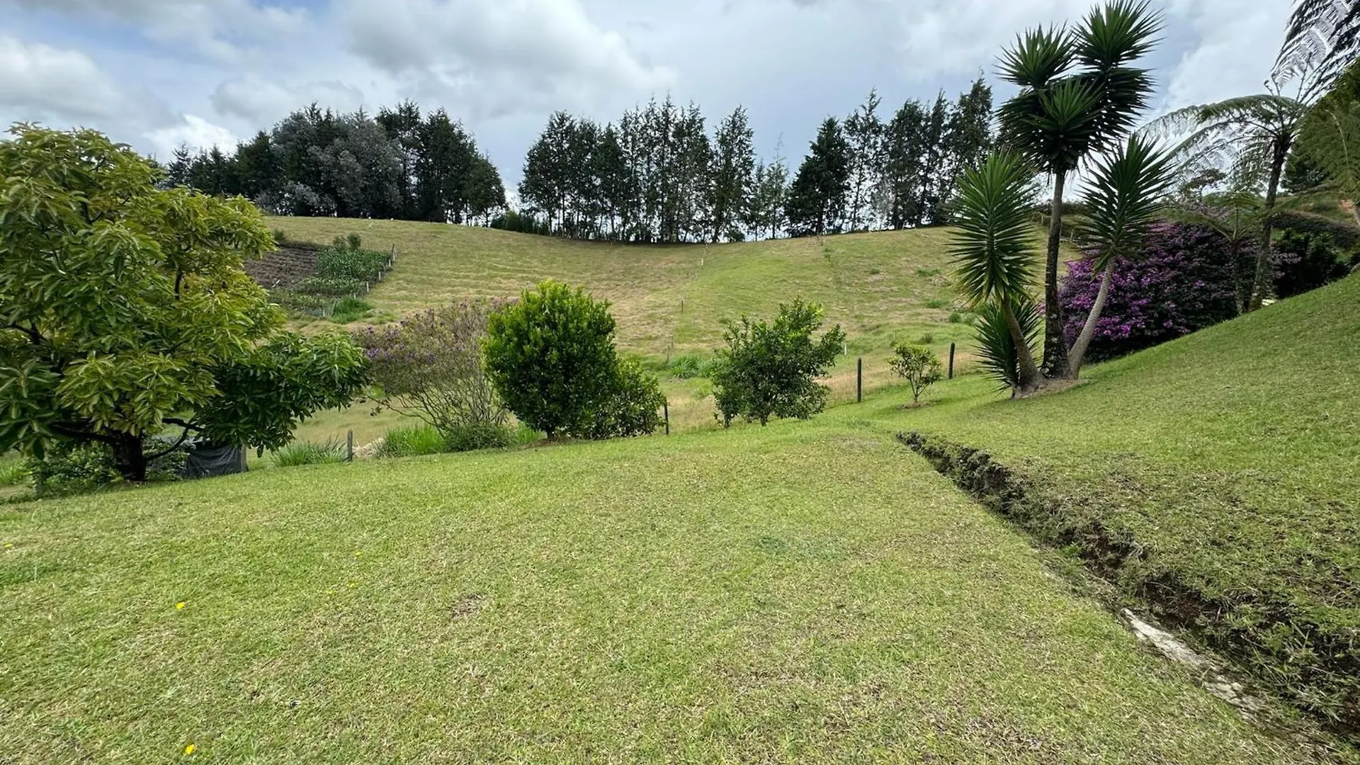 Finca Villa Palmeras 36 Rionegro Colombia