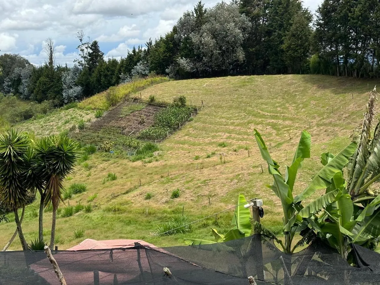 Finca Villa Palmeras 36 Rionegro 0*,