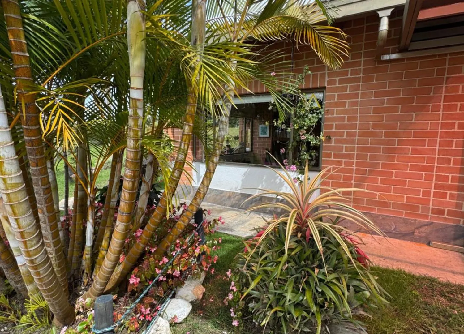 Finca Villa Palmeras 36 Rionegro