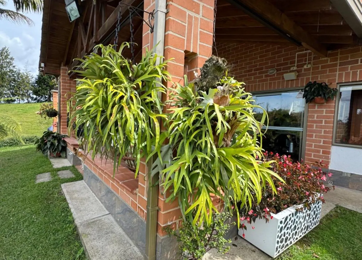 Finca Villa Palmeras 36 Rionegro Colombia